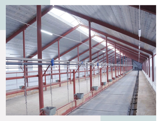 Строительство коровников в Улане-Удэ от 615 руб.