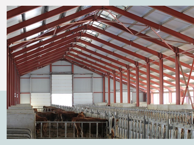 Строительство коровников в Улане-Удэ