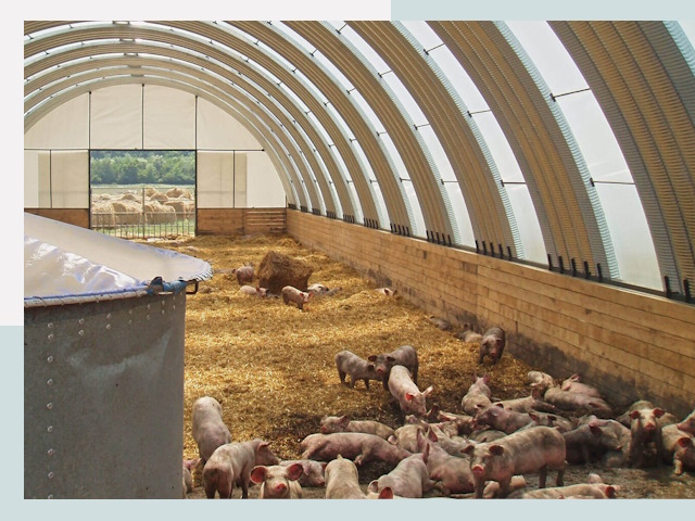 Строительство свинарников в Улане-Удэ