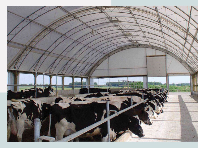 Тентовые коровники в Улане-Удэ